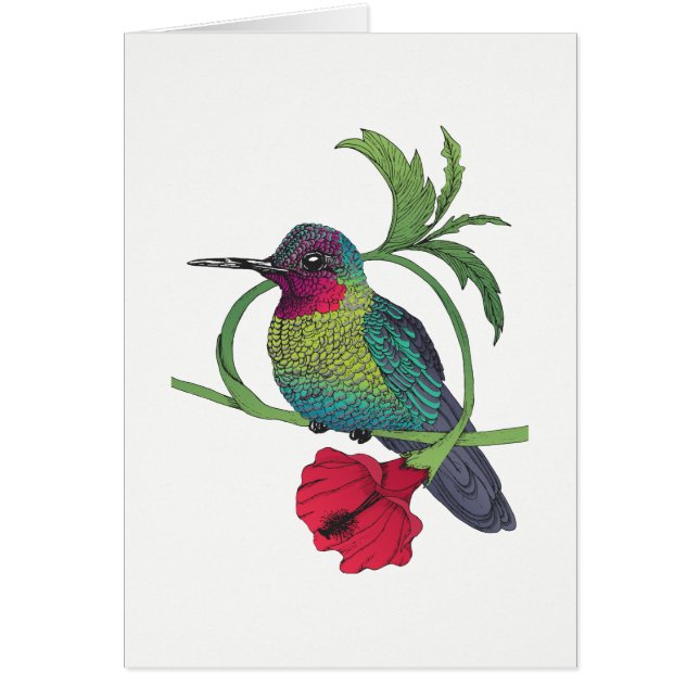 Tarjeta de Ilustracion para aves Colibri (Frente)