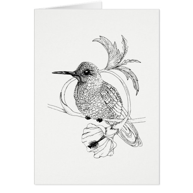 Tarjeta de Ilustracion para aves Colibri (Frente)