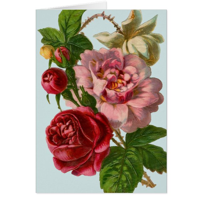 Tarjeta de Ilustracion Rosa victoriana (Frente)