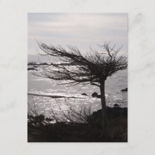 Tarjeta de incentivo de verso de la biblia de los 