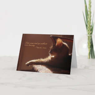 Tarjeta de ingreso para gatos