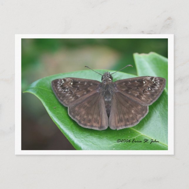 Tarjeta de intenciones mensuales (Anverso)