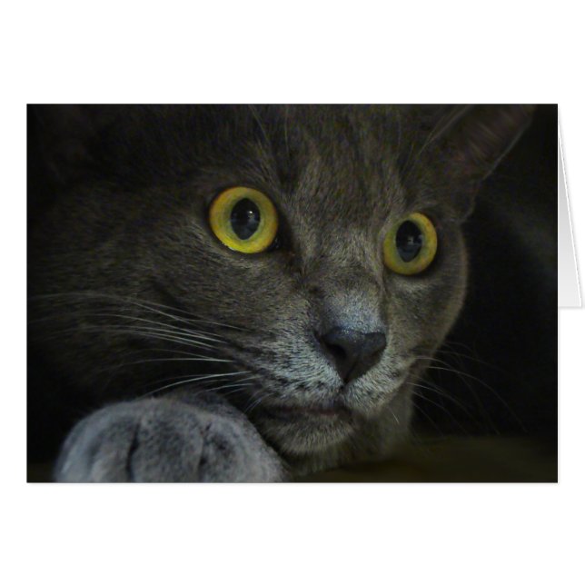 Tarjeta de intensidad (Anverso (Horizontal))