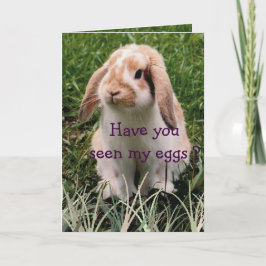 Tarjeta de interacción