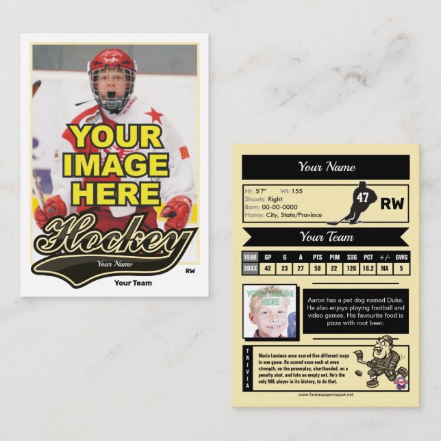 Tarjeta de intercambio de hockey Swash - Estadísti (Anverso / Reverso)