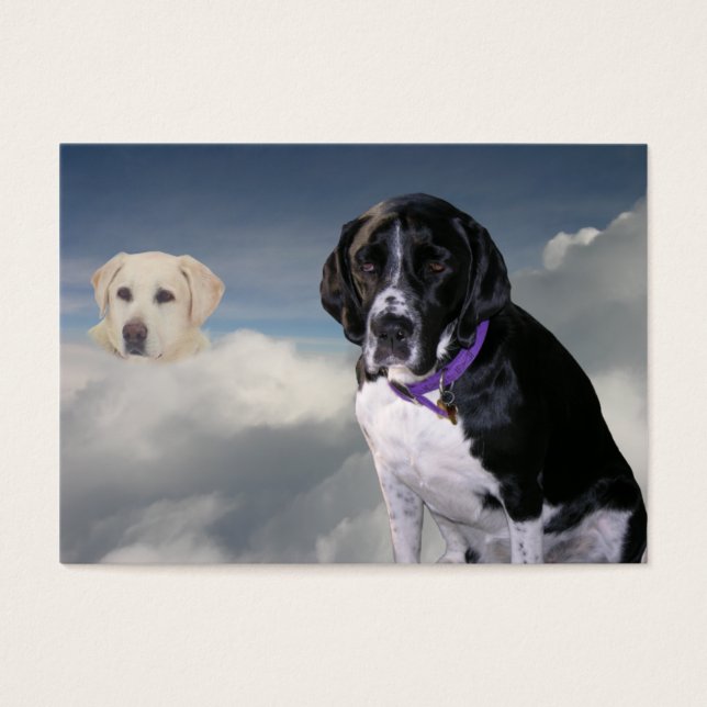Tarjeta de intercambio Scuba Dog "Sympathy" (Frente)