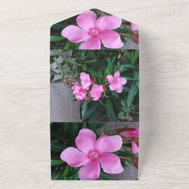 Tarjeta de invitación (Afuera)