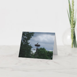 Tarjeta de Invitación de embarazo para bebé con fo