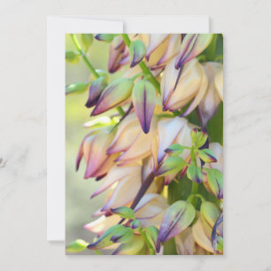 tarjeta de invitación de flores de yuca