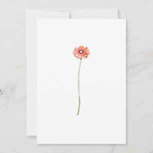Tarjeta de Invitación de Gerbera Roja Pálida