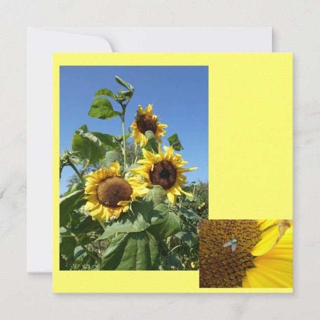 Tarjeta de Invitación de Girasoles (Anverso)