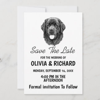 Tarjeta de invitación de perro Terranova