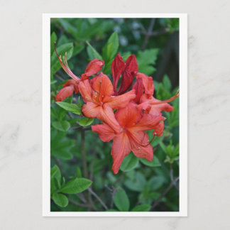 Tarjeta de invitación de primavera nativa Azalea