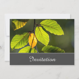 Tarjeta de invitación encantadora con follaje colo