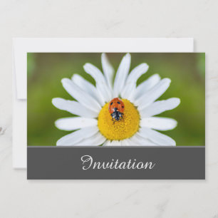 Tarjeta de Invitación Encantadora con Mariquita