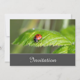 Tarjeta de Invitación Encantadora con Mariquita