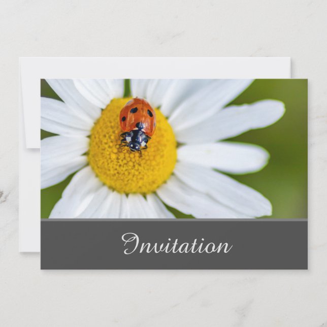 Tarjeta de invitación encantadora con mariquita af (Anverso)