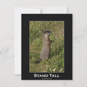 Tarjeta de invitación motivacional de marmota