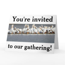 Tarjeta de invitación, Pelícanos