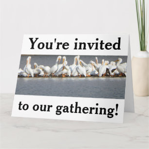 Tarjeta de invitación, Pelícanos