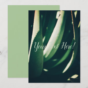 Tarjeta de invitación verde de planta de aloe pers