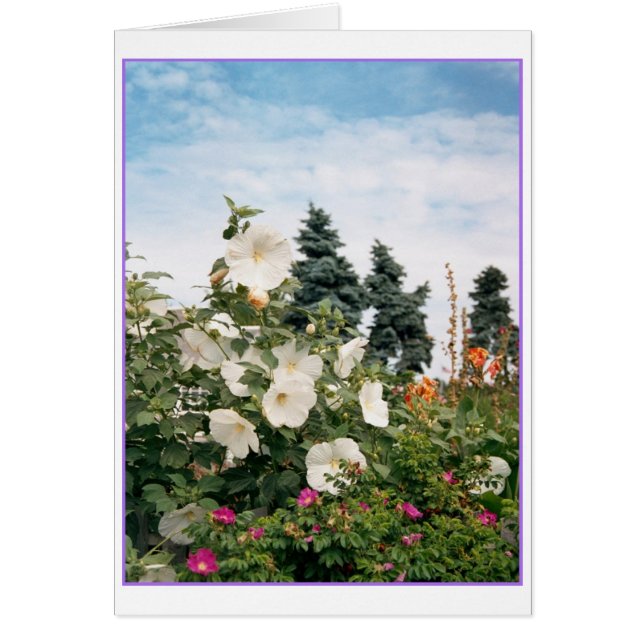 Tarjeta de jardín de viñedo (Frente)