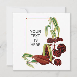 Tarjeta de jardinero de plantas de interior