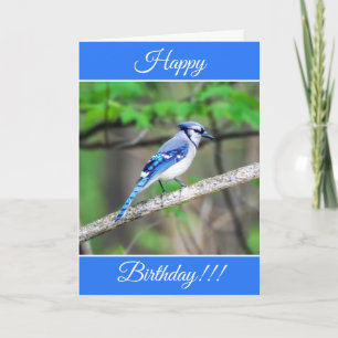Tarjeta de Jay Feliz Cumpleaños Azul Personalizada