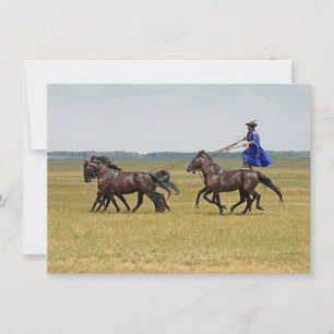 Tarjeta de jinete y caballos de Hungría