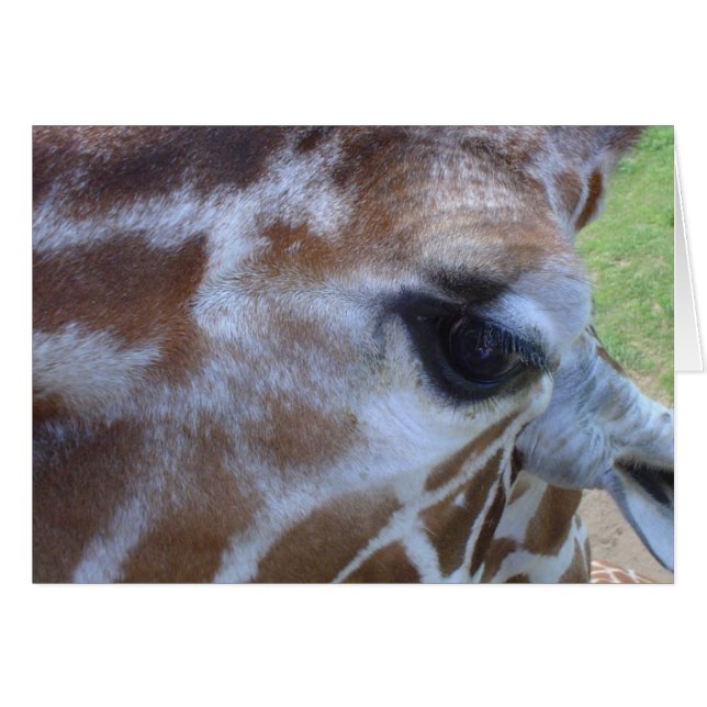 ¡Tarjeta de jirafa! (Anverso (Horizontal))