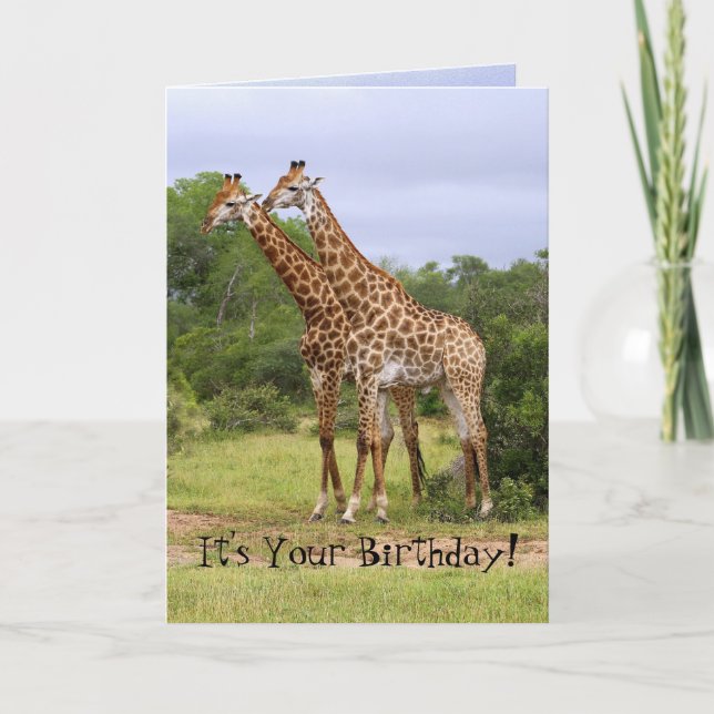 Tarjeta de jirafas de cumpleaños feliz "Vete a la  (Anverso)
