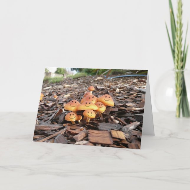 TARJETA DE JUBILACIÓN DE FONDOS (Anverso)