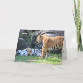 Tarjeta de jubilación divertida, tigre durmiendo