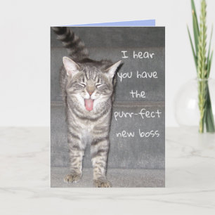 Tarjeta de jubilación feliz de gato lindo