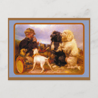 Tarjeta de juego para perros y marineros