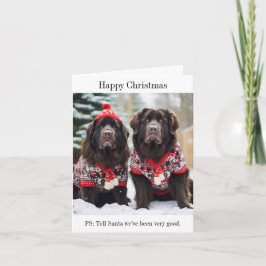 Tarjeta de jumpers para Navidades de perros de Ter