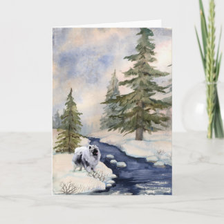 Tarjeta de Kees de la nieve