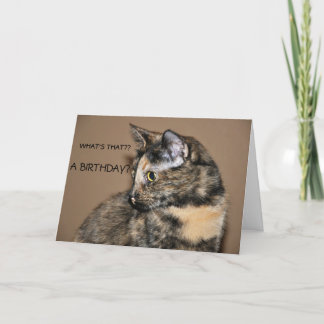 Tarjeta de Kitty Feliz Cumpleaños