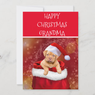 Tarjeta de la abuela de los Navidades felices