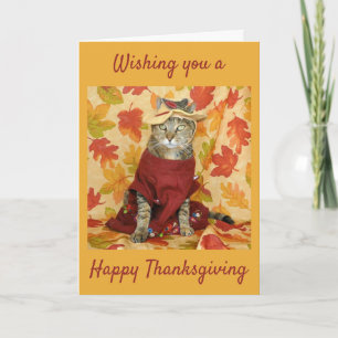 Tarjeta de la acción de gracias del tabby de Brown
