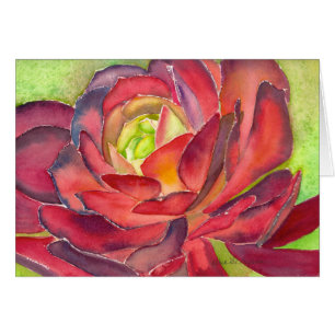 Tarjeta de la acuarela del Aeonium de Debra Lee