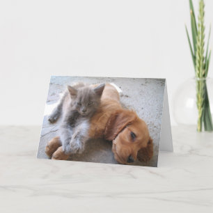 Tarjeta de la amistad