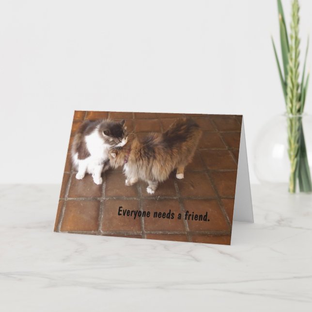 Tarjeta de la amistad, gatos del lagar del (Anverso)