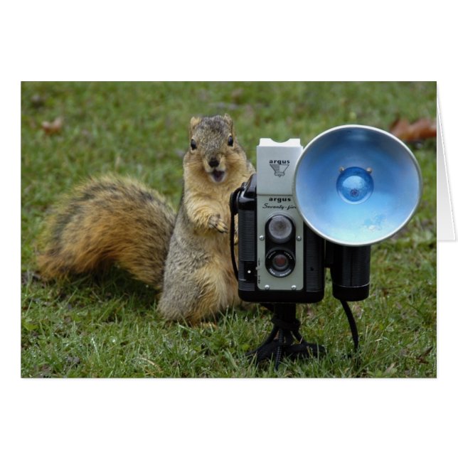 tarjeta de la ardilla grande (Anverso (Horizontal))