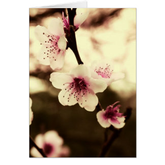 Tarjeta de la belleza de primavera natural