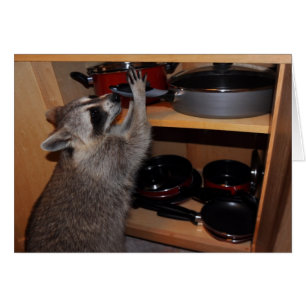 tarjeta de la cacerola de la estola