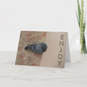 tarjeta de la celebración de la paloma