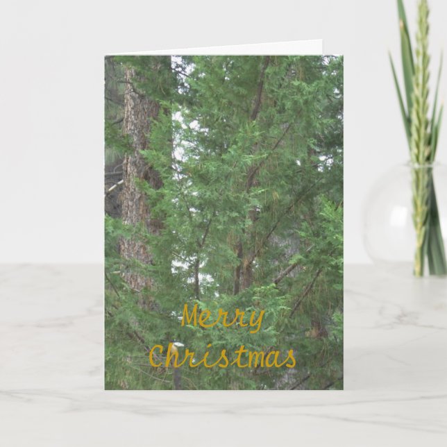 Tarjeta de la colección del navidad del lago Tahoe (Anverso)