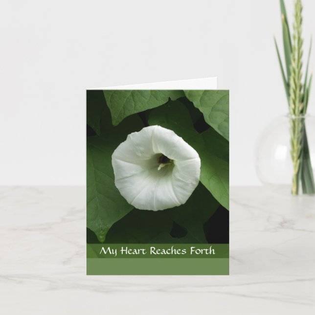 Tarjeta de la condolencia de la condolencia de la (Anverso)