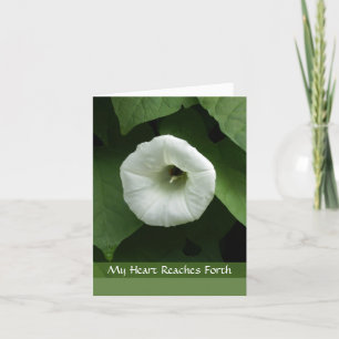 Tarjeta de la condolencia de la condolencia de la